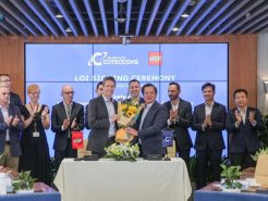 ‘Eagle’ nests billions of dollars, Vietnamese giants find their glory days